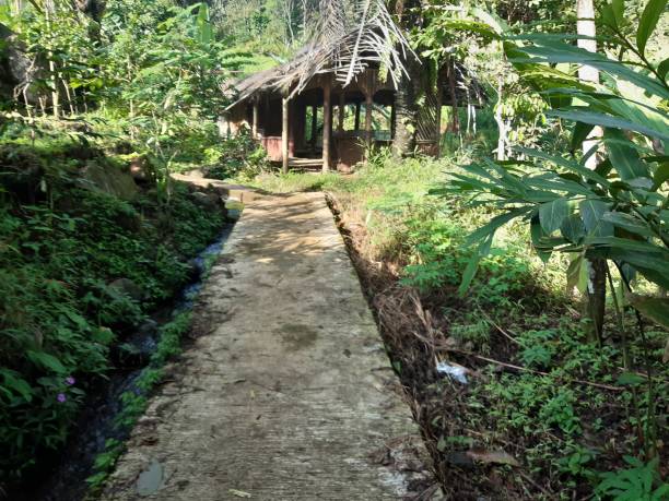 istock wooden house 1395799702