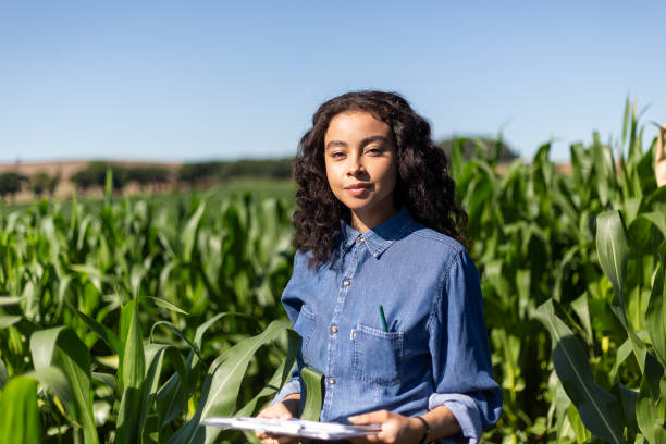 トウモロコシ畑の葉を分析する若い黒人女性エンジニア - corn crop corn genetic modification crop ストックフォトと画像