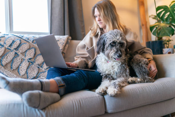 istock Sweet pet dog relaxing on sofa with her owner 1395805222