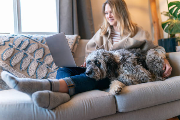istock Sweet pet dog relaxing on sofa with her owner 1395805228