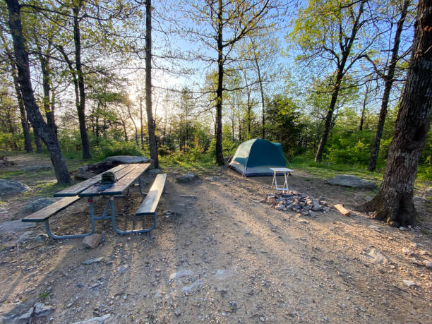 istock Campsite with camping tent 1395805234