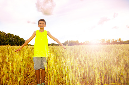 Young boy stand in the wheat field with lifted up hands and happy smiling expression