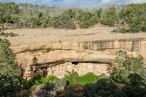 Spruce Tree House, bathed in late afternoon sun, sits below the canyon rim. Mesa Verde National Park, Colorado, USA.