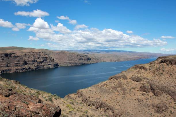 istock Columbia River at Overlook 1395823240