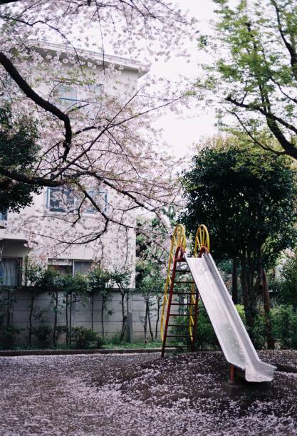 istock Tokyo street shot 1395824225