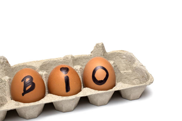 istock Closeup eggs cardboard word bio white background 1395826677
