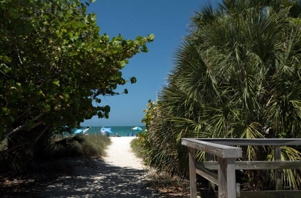 istock Trail to Nokomis Beach 1395827815