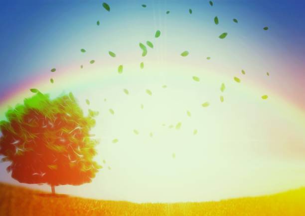 Illustration of a sky over a rainbow and a green tree