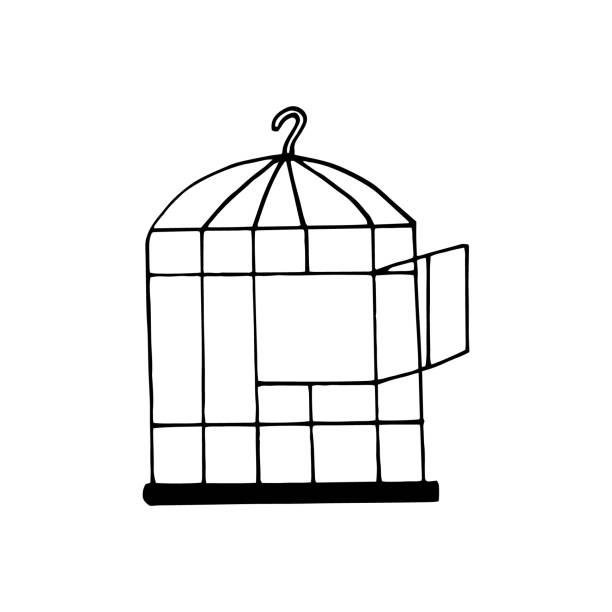 120+ Open Bird Cage Drawing Stock Illustrations, Royalty-Free
