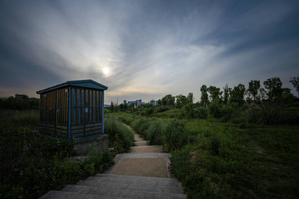 Meadows and bridges at dusk