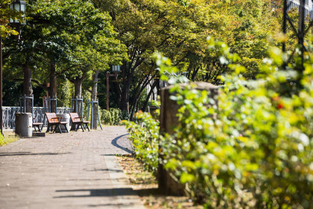 istock Nakanoshima cityscape 1395842175