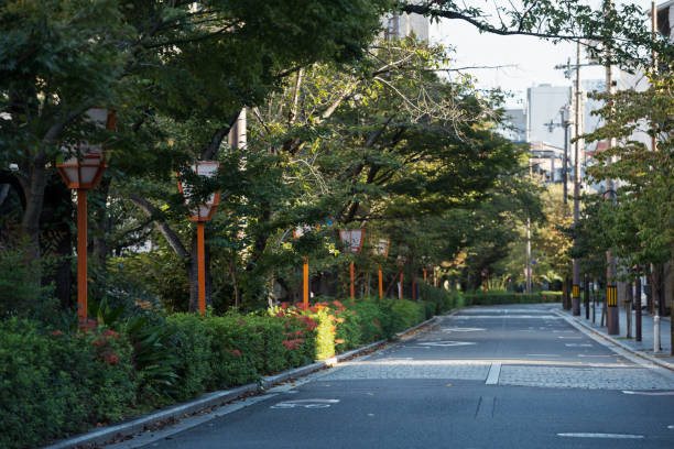 istock Kiyamachi, Kyoto 1395842883