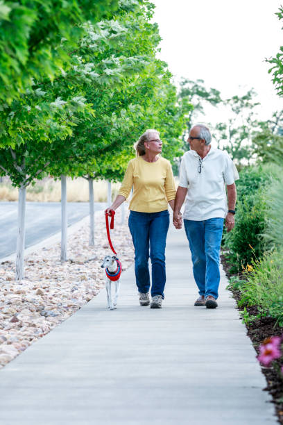 istock Married Senior Couple Walking Their Pet Dog 1395843364