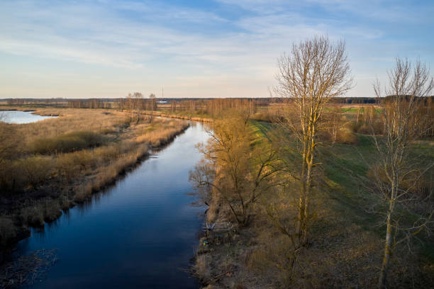 paisaje de verano con pequeño lago en el bosque - pequeño fotografías e imágenes de stock