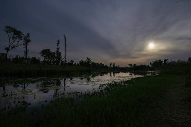 Meadows and bridges at dusk