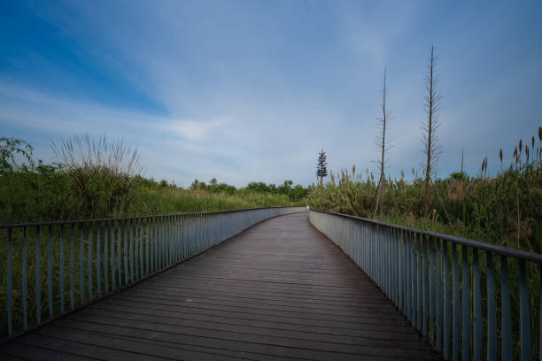 On the wooden bridge at dusk