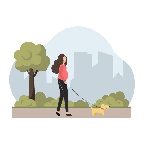 ilustrações de stock, clip art, desenhos animados e ícones de pregnant woman walks with her dog in city park. healthy habits and healthy lifestyle. vector illustration in cartoon style. - heroes dog pets animal