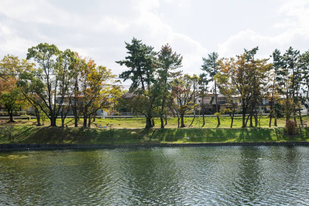 istock Momoyama Park 1395849094