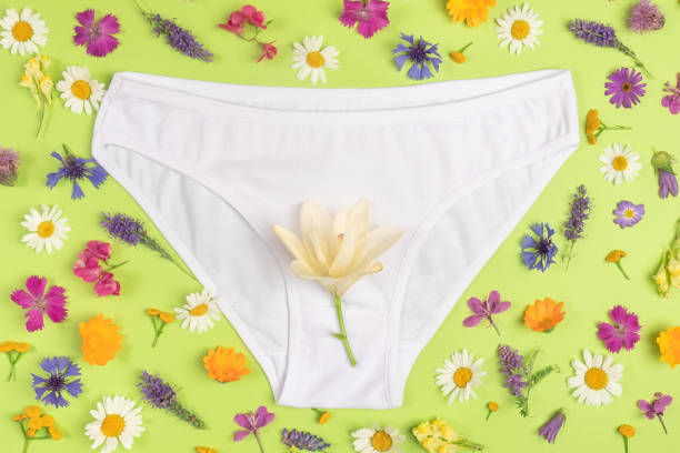 White panties and colorful flowers on green background, close up. Keep your vagina healthy and happy, Women health concept,. Top view Flat lay stock photo