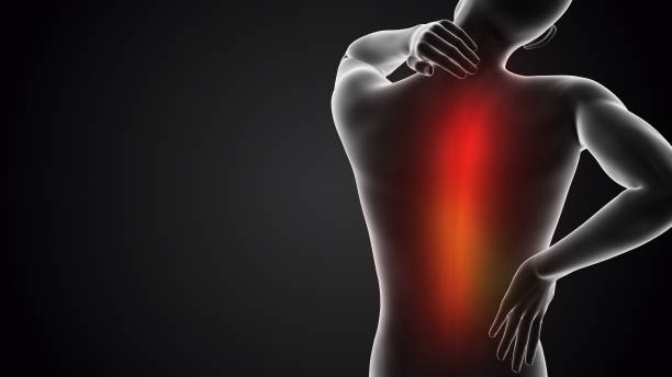 背中に痛みを感じている人間 - arthritis osteoporosis pain backache ストックフォトと画像