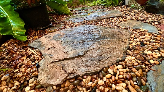 Stone path in garden after rain