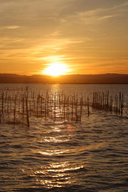 istock sunset in the lagoon of valencia 1395857099