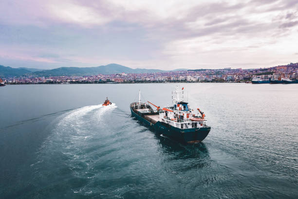 istock Aerial view of cargo ship in transit. 1395861910