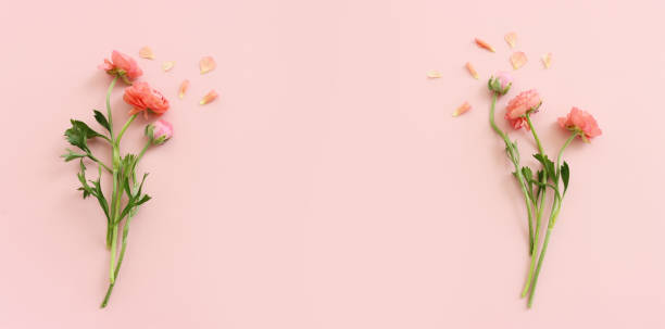 istock Top view image of pink flowers composition over pastel background 1395861958