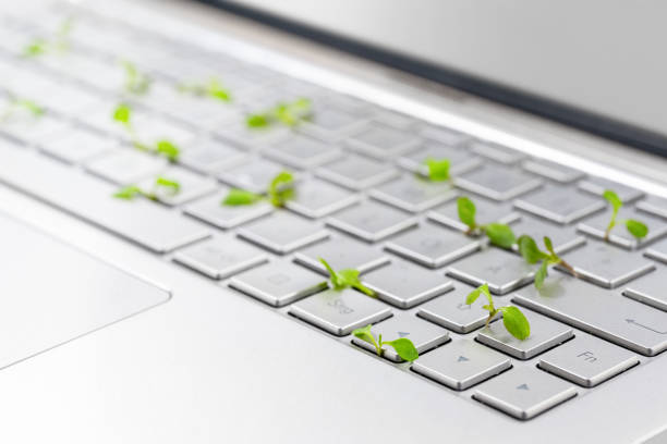 Green business, seedlings grow in a silver keyboard of a laptop computer, symbol of growth of eco-friendly and sustainable economy, copy space, selected focus stock photo