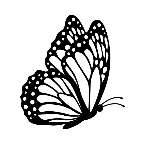 ilustraciones, imágenes clip art, dibujos animados e iconos de stock de silueta de mariposa monarca, vista lateral. ilustración vectorial aislada sobre fondo blanco - butterfly monarch butterfly isolated flying