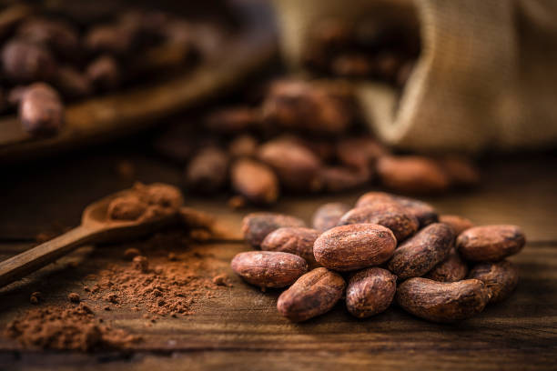 Heap of cocoa beans on a rustic wooden table Front view of a heap of cocoa beans beside a wooden teaspoon with cocoa powder on a rustic wooden table. At the defocused background is a wooden tray and a sack full of cocoa beans. Predominant color is dark brown. cacao fruit stock pictures, royalty-free photos & images