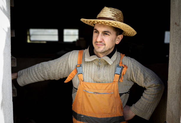 istock The farmer feeds the cattle 1395876280
