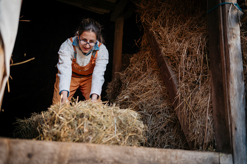 The farmer carries hay