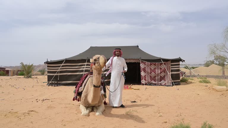 Outdoor portrait of Saudi camel driver and dromedary