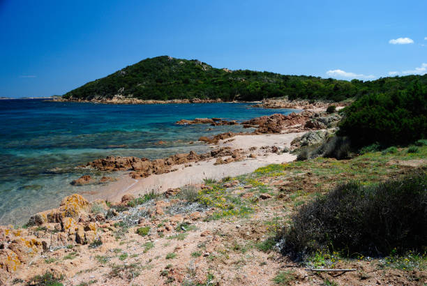 istock View of Liscia Ruja beach, Sardinia 1395880432