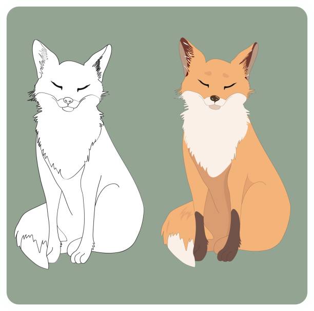 Sitting dreaming fox. Full colour and silhouette. Two versions of a cute sleeping fox: silhouette and full-colour. Cunning sly fox is dreaming. Silly fox is smilling because it sees good dreams. arctic fox stock illustrations