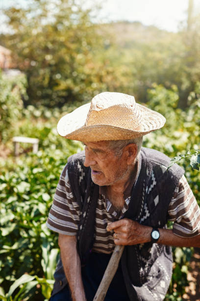 istock 76 years old man working on his organic vegetable garden 1395882430