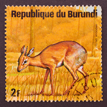 BURUNDI - CIRCA 1964: A Stamp printed in BURUNDI shows image of a animal of Burundi, circa 1964