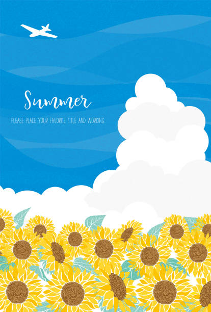 rahmenmaterial des sommerbildes der sonnenblumenillustration - sunflower field scenics landscape stock-grafiken, -clipart, -cartoons und -symbole