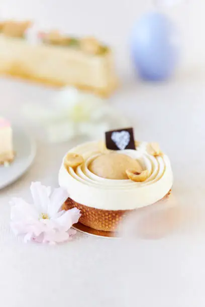 Small cakes and tartlets from modern and artful patisserie from Germany. Photographed in high resolution
