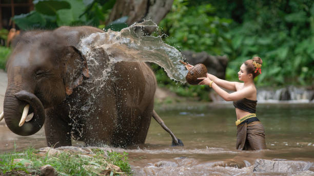 istock Happy female bathing elephant by river 1395893885