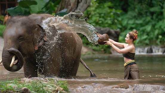 Happy female bathing elephant by river