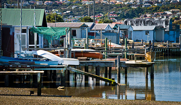 istock Waterfront Houses on Tatahi Bay 139589470