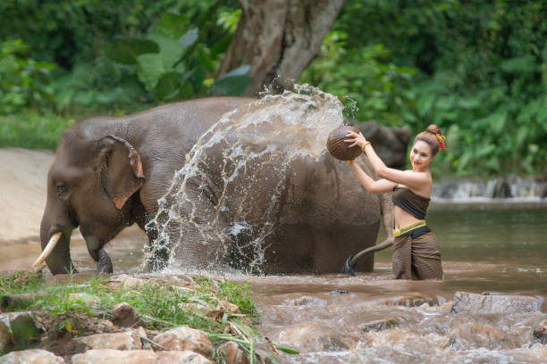 istock Happy female bathing elephant by river 1395899021