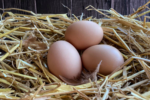 istock Three fresh chicken eggs in the hay. Organic egg. 1395899227