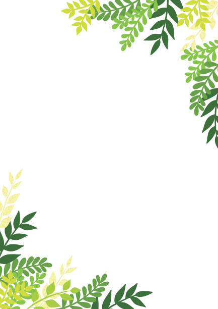 ilustrações de stock, clip art, desenhos animados e ícones de print - fern forest ivy leaf