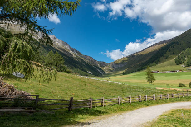 istock Mountain trail South Tyrol Italy 1395903834