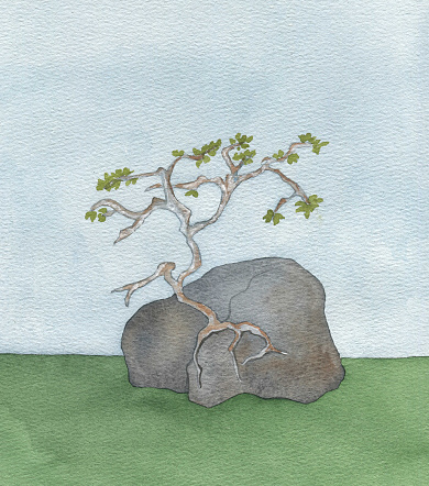 lonely tree growing on a rock, watercolor art