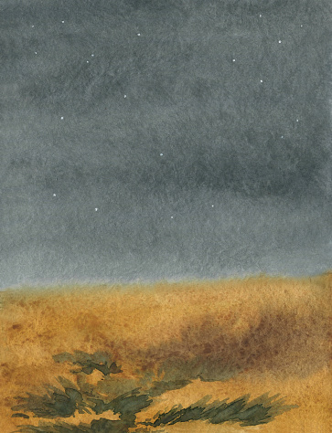 steppe at night landscape, starry sky, watercolor illustration