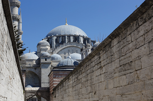 Hagia Sophia Museum and judas tree
